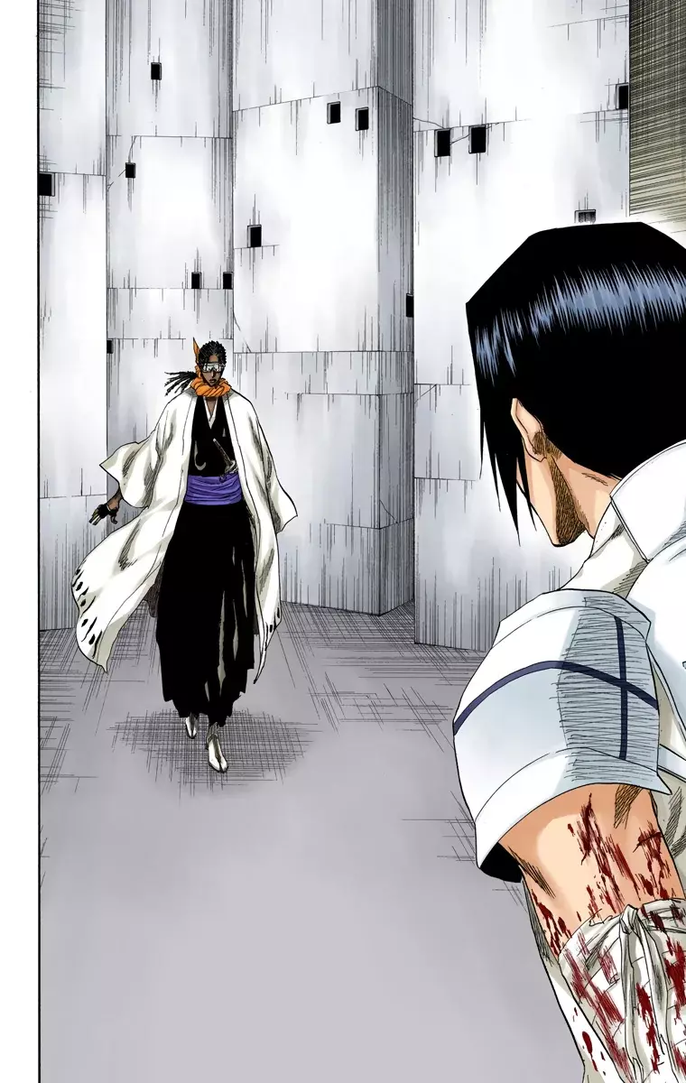 Bleach (Color) capítulo 126, página 15