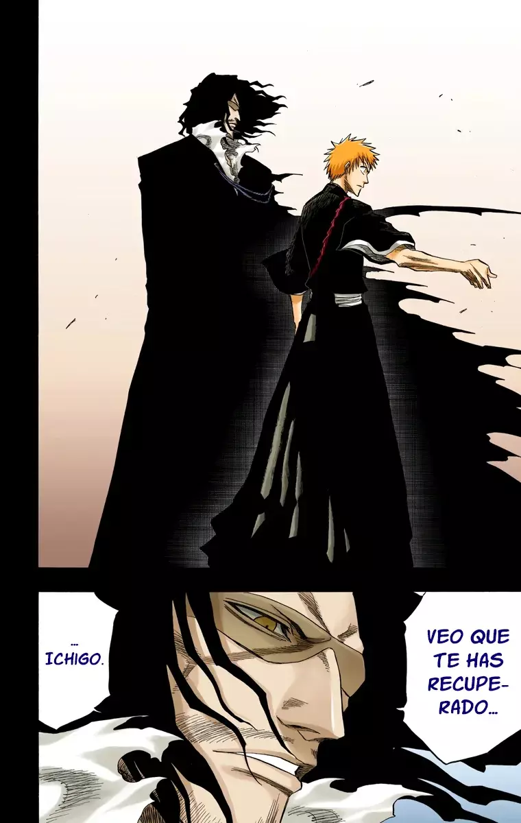 Bleach (Color) capítulo 127, página 9