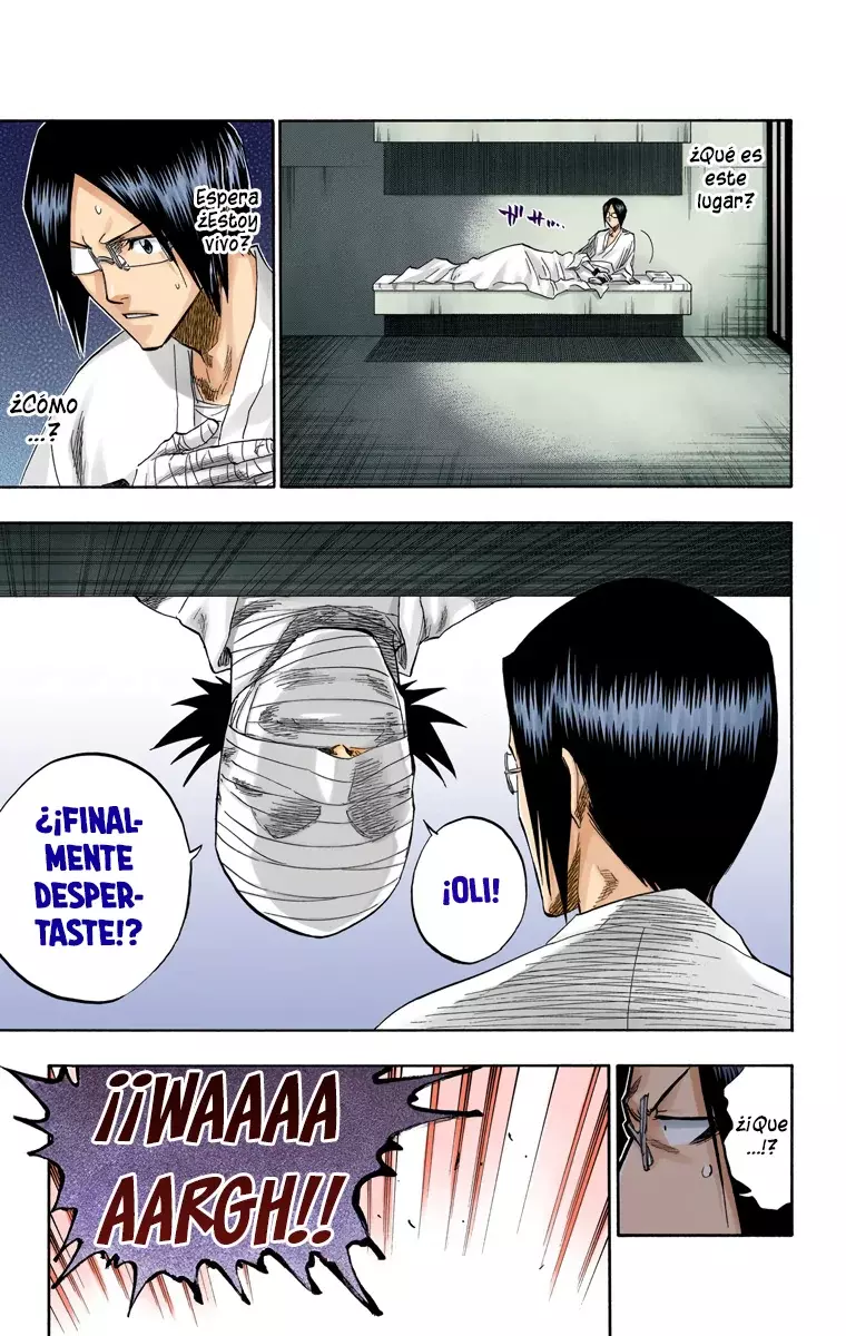 Bleach (Color) capítulo 128, página 6