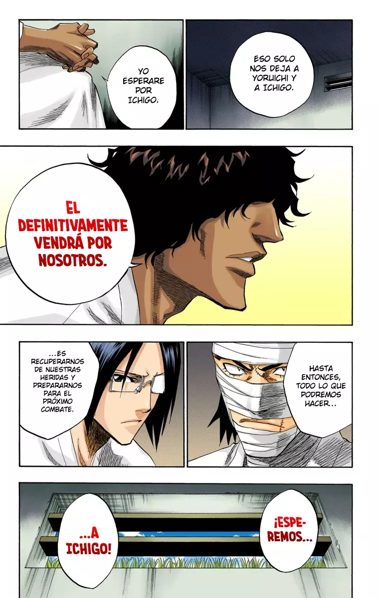 Bleach (Color) capítulo 128, página 10