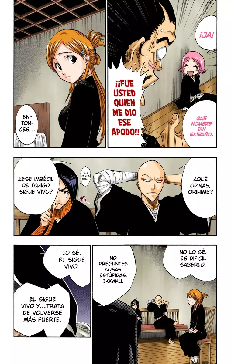 Bleach (Color) capítulo 128, página 18