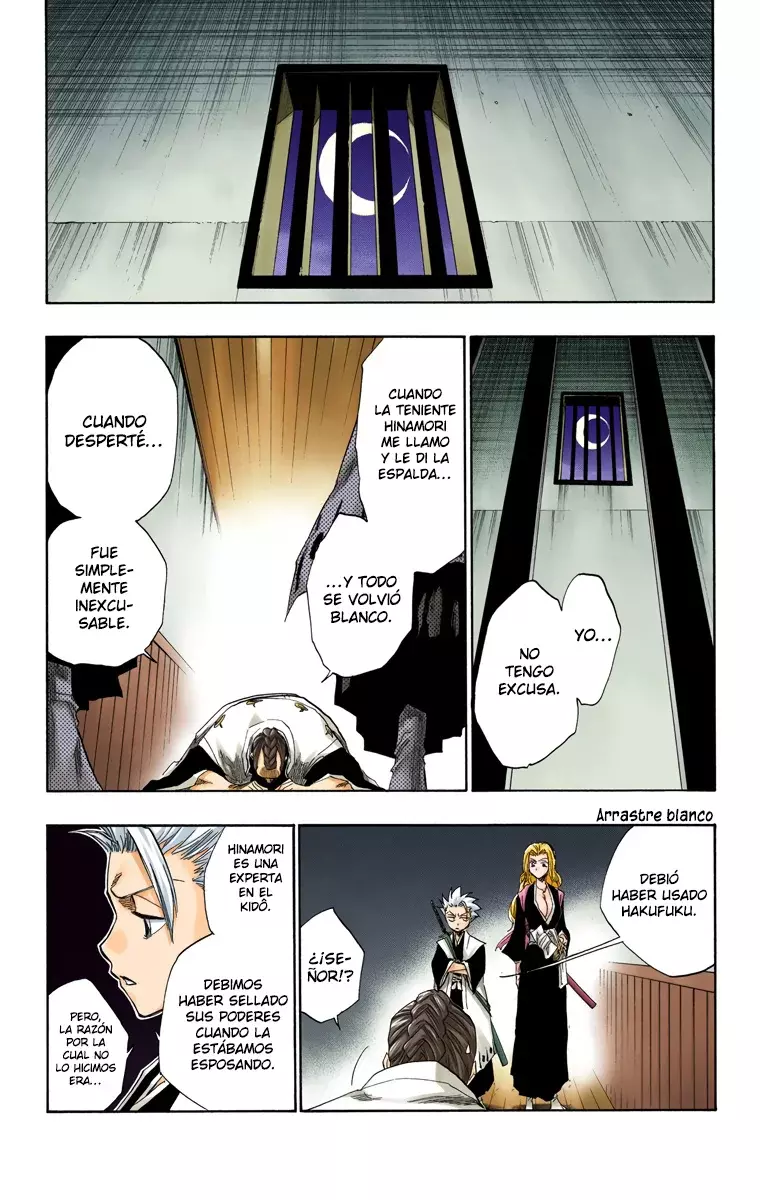 Bleach (Color) capítulo 129, página 17
