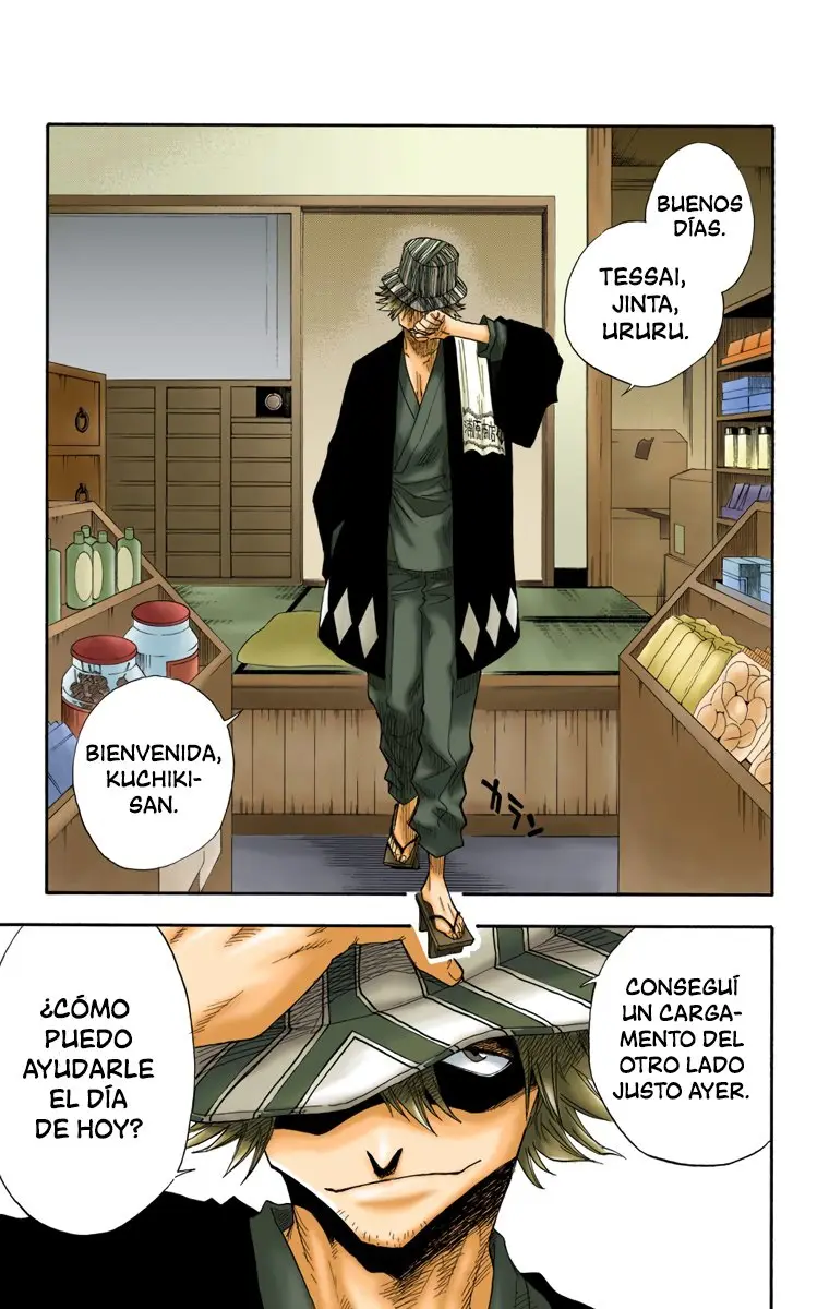 Bleach (Color) capítulo 13, página 8
