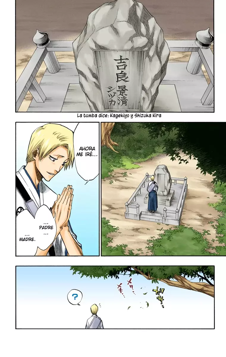 Bleach (Color) capítulo 130.5, página 5