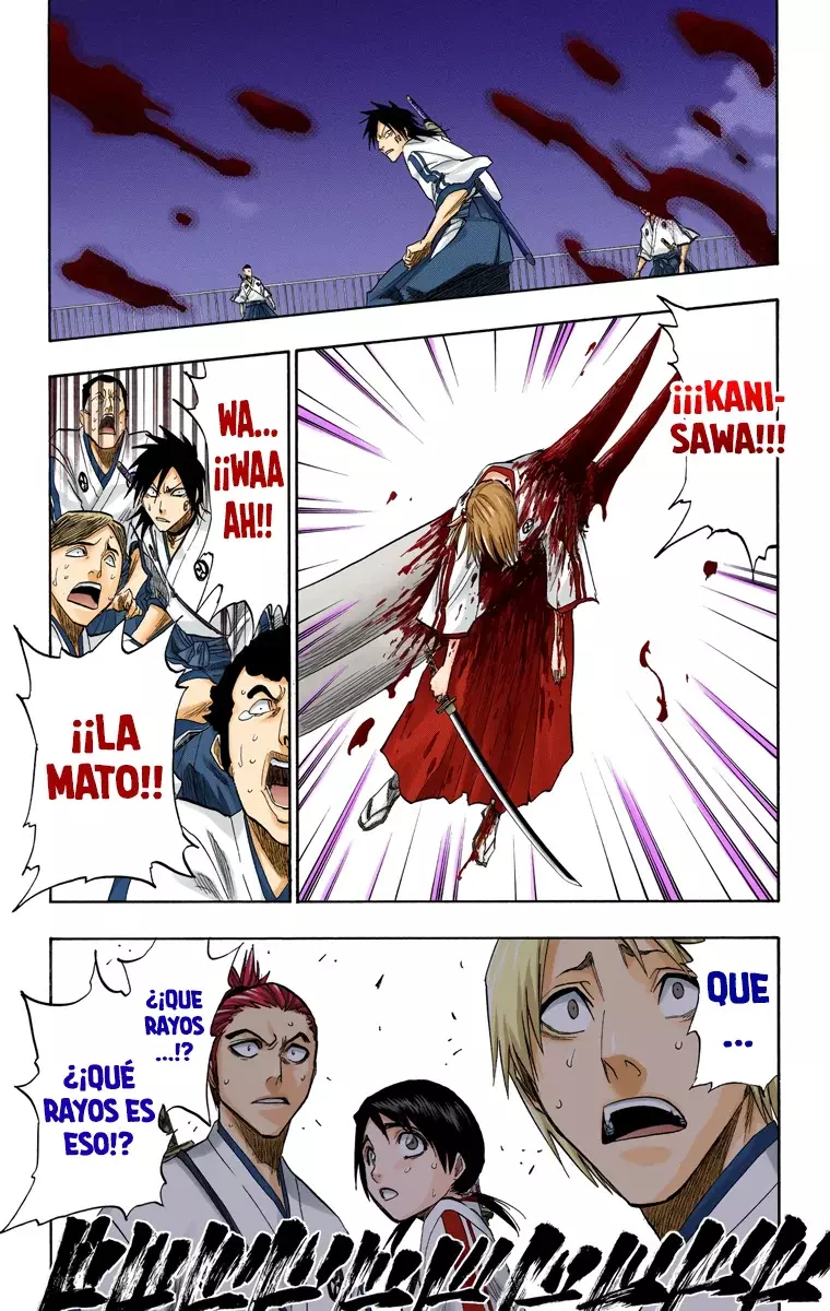 Bleach (Color) capítulo 130.5, página 18