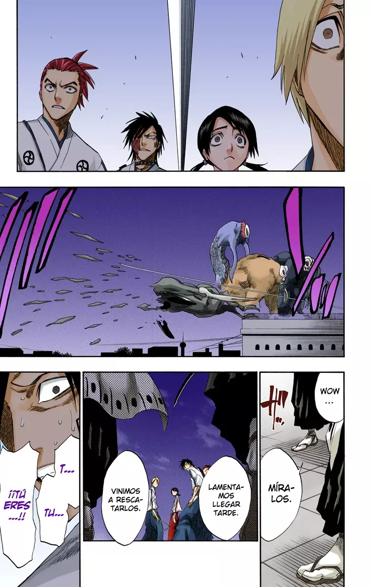 Bleach (Color) capítulo 130.5, página 29