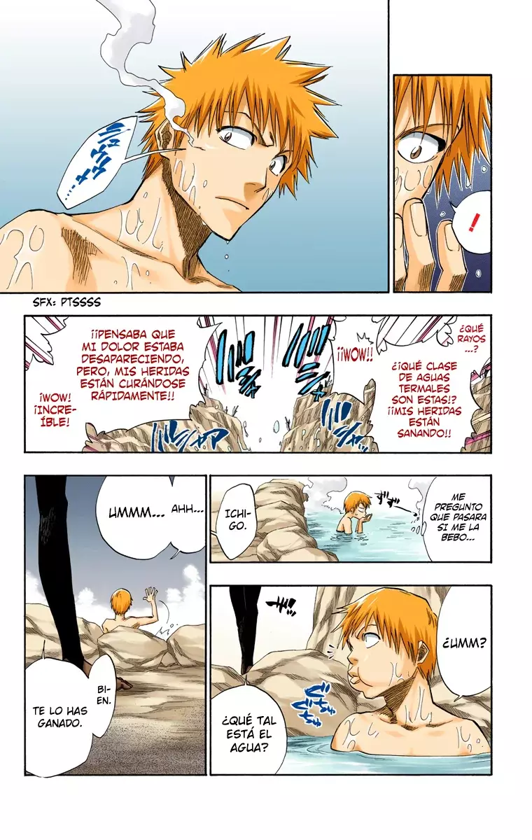 Bleach (Color) capítulo 130, página 8