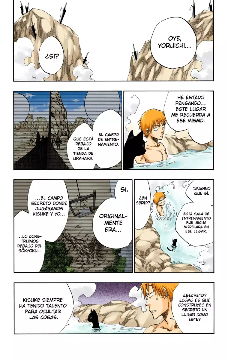 Bleach (Color) capítulo 130, página 10
