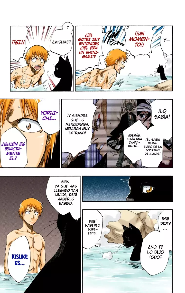 Bleach (Color) capítulo 130, página 12