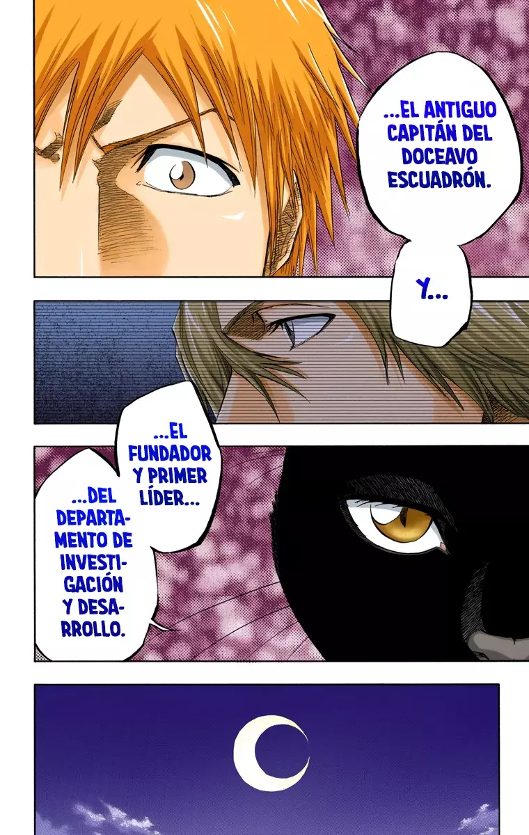 Bleach (Color) capítulo 130, página 13