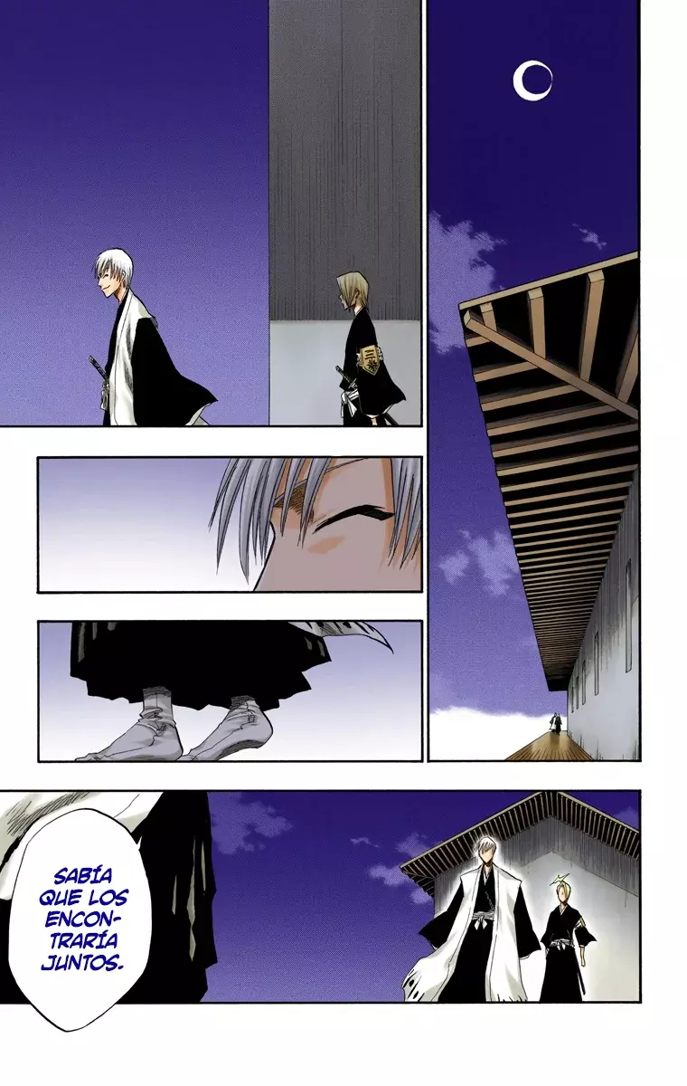 Bleach (Color) capítulo 130, página 14