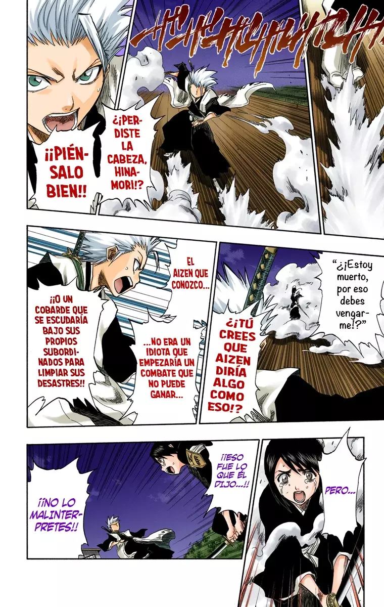 Bleach (Color) capítulo 131, página 13