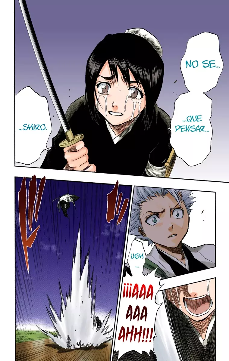 Bleach (Color) capítulo 131, página 15