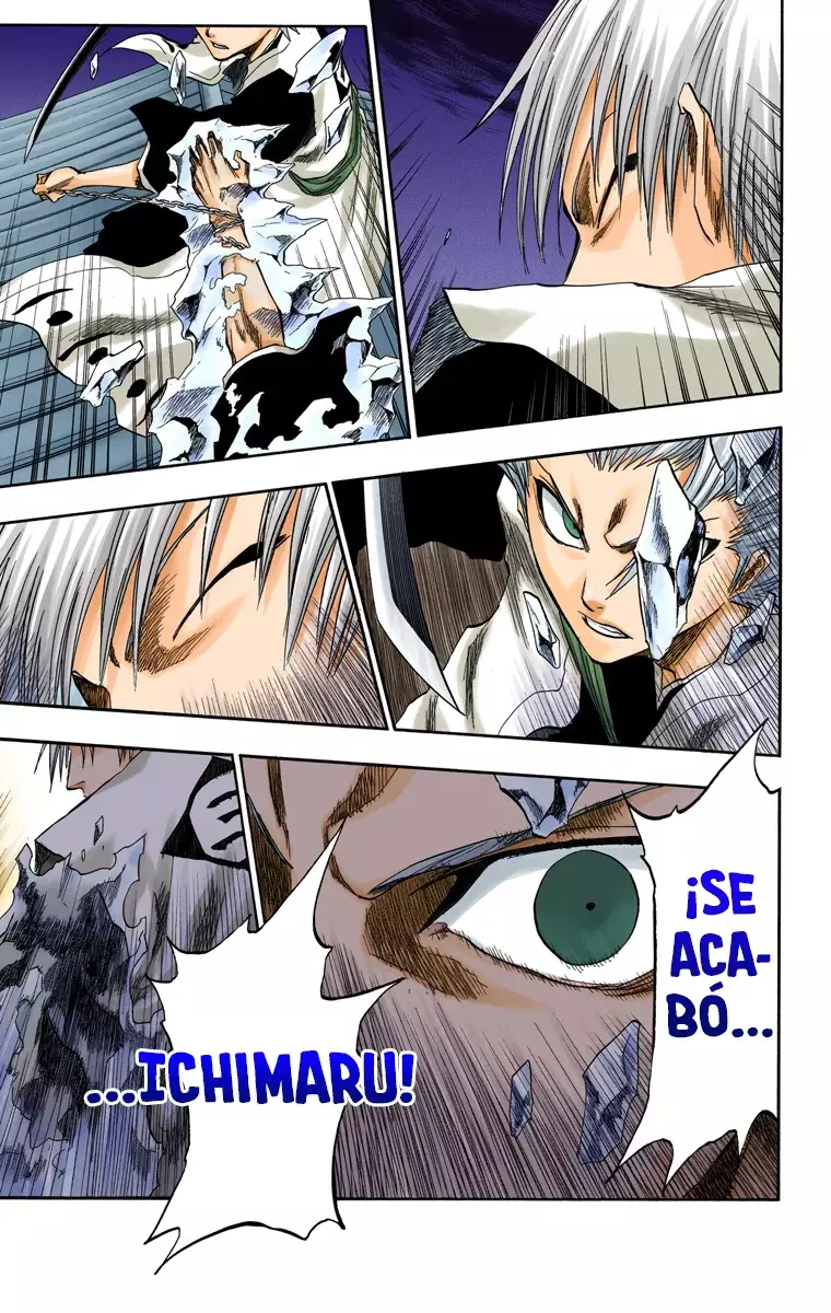 Bleach (Color) capítulo 132, página 10