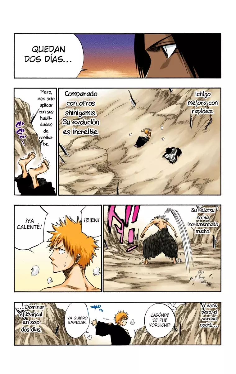 Bleach (Color) capítulo 132, página 16