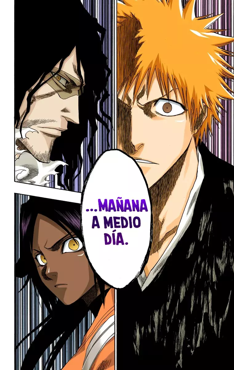 Bleach (Color) capítulo 133, página 15