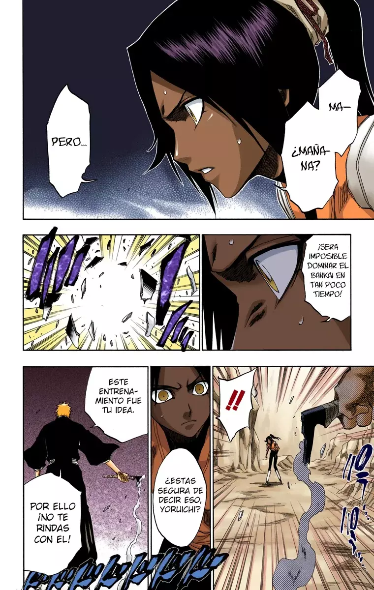 Bleach (Color) capítulo 133, página 17