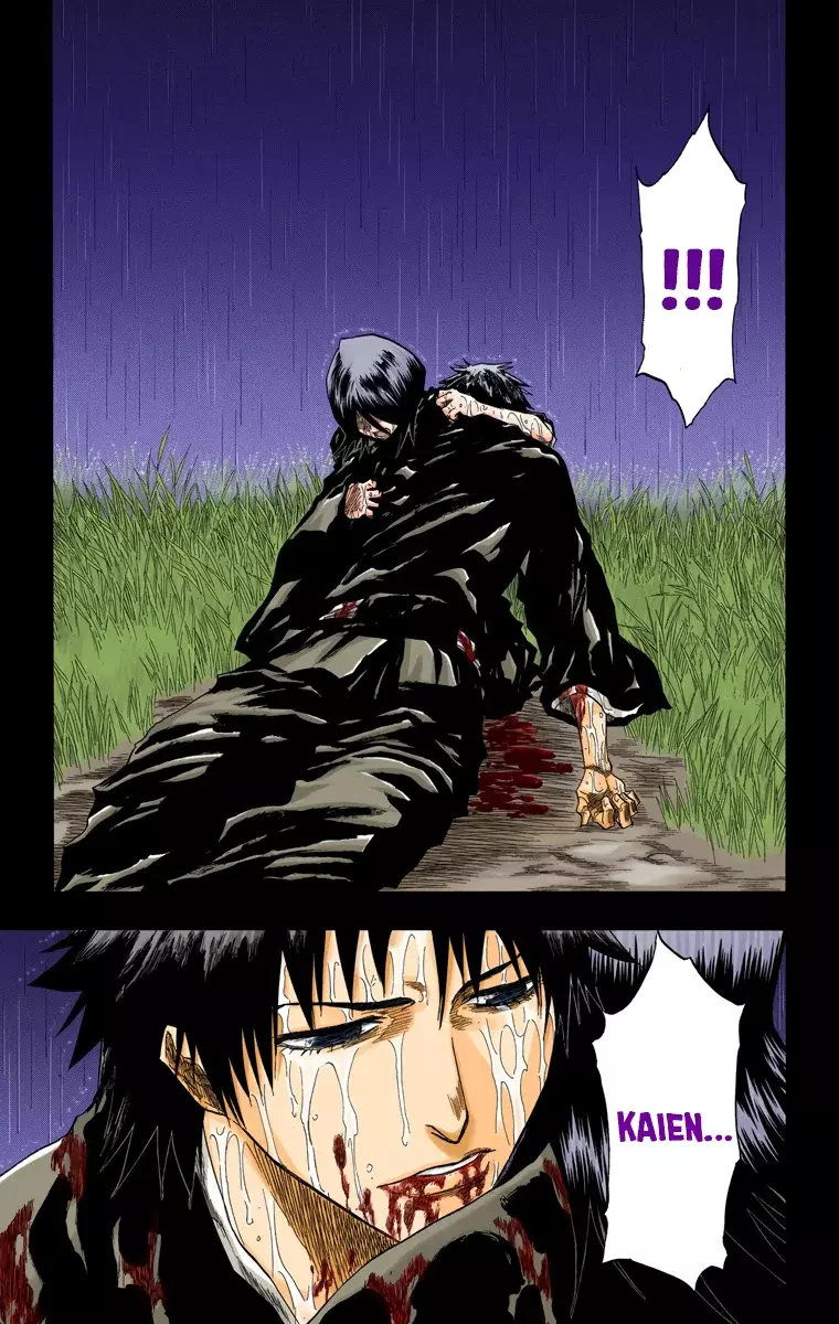 Bleach (Color) capítulo 133, página 22
