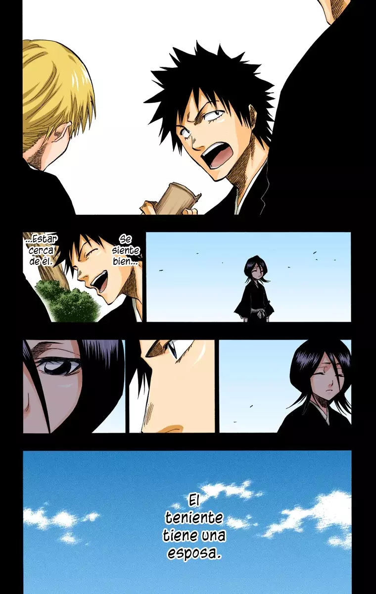 Bleach (Color) capítulo 134, página 15