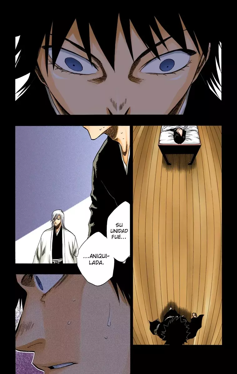 Bleach (Color) capítulo 134, página 17