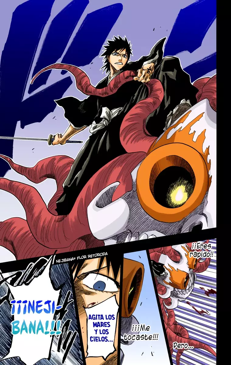 Bleach (Color) capítulo 135, página 10