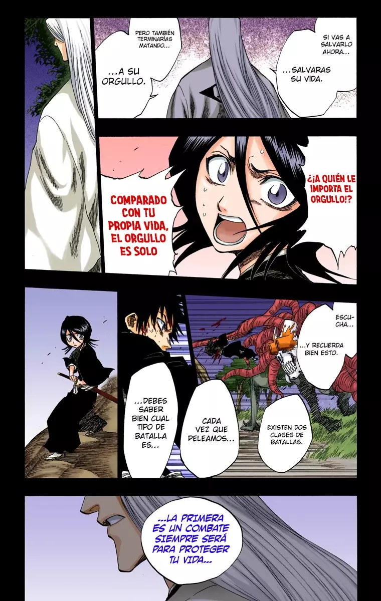 Bleach (Color) capítulo 135, página 14