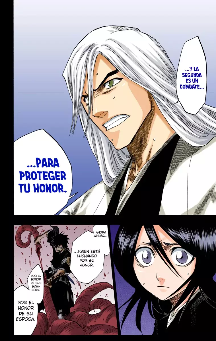 Bleach (Color) capítulo 135, página 15