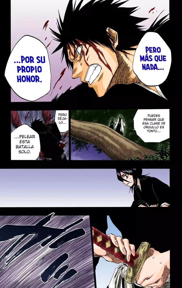 Bleach (Color) capítulo 135, página 16