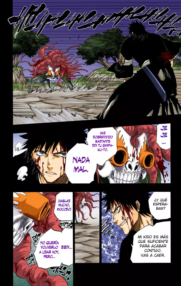 Bleach (Color) capítulo 135, página 17