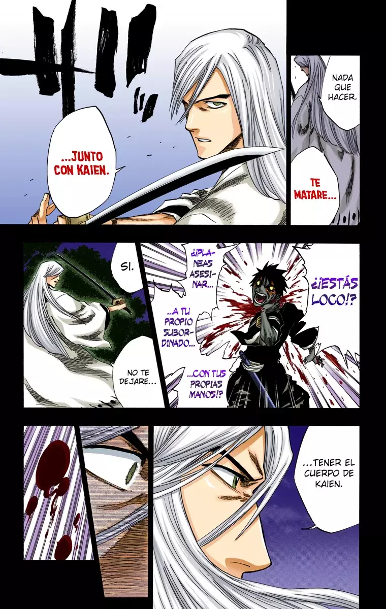 Bleach (Color) capítulo 136, página 10