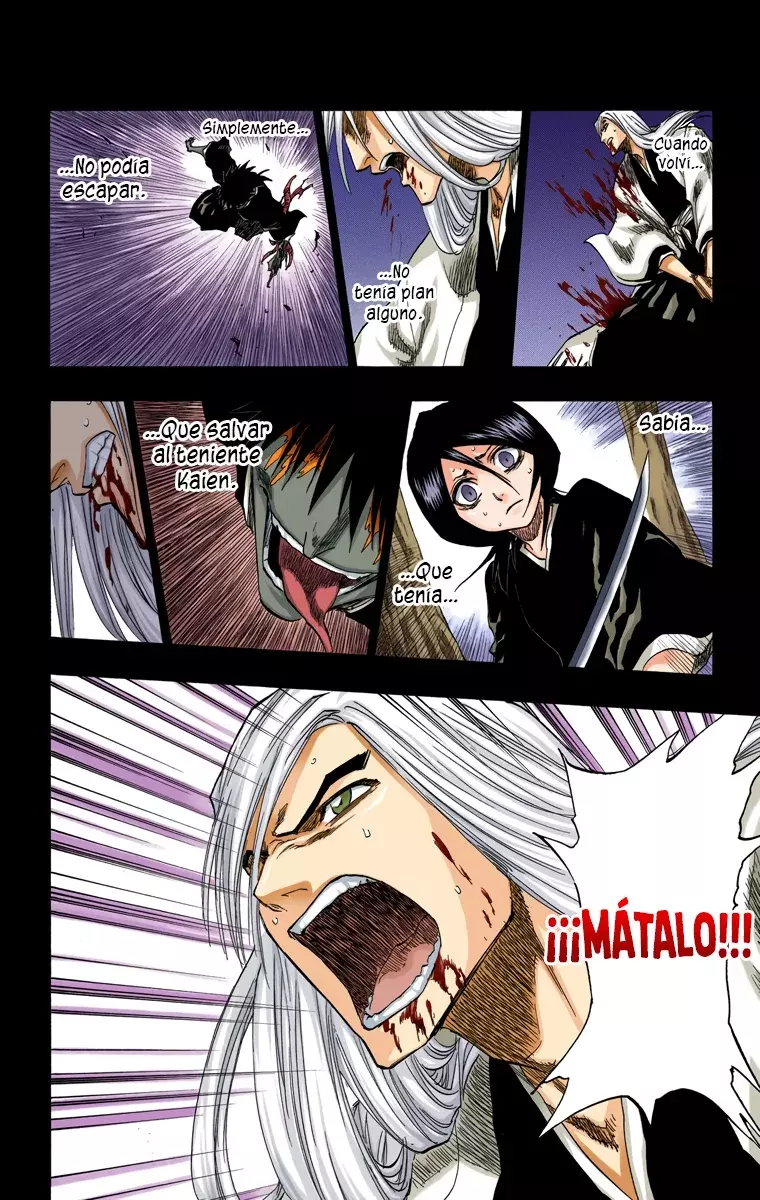 Bleach (Color) capítulo 136, página 13