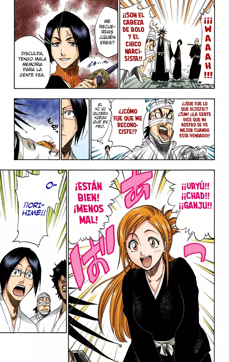 Bleach (Color) capítulo 137, página 13