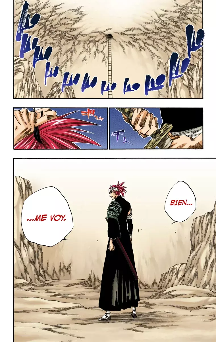 Bleach (Color) capítulo 137, página 14