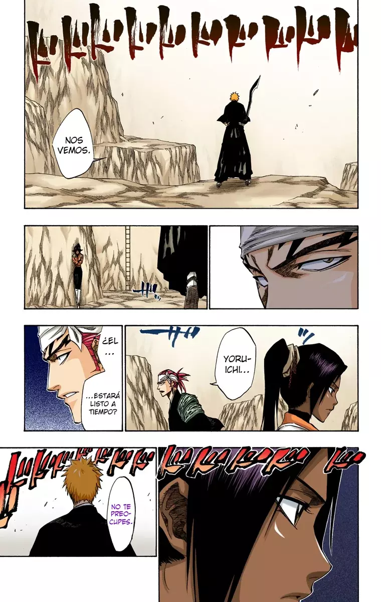 Bleach (Color) capítulo 137, página 15