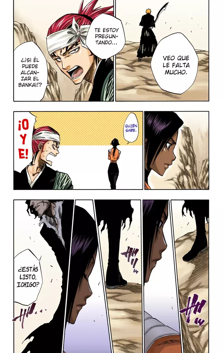 Bleach (Color) capítulo 137, página 17