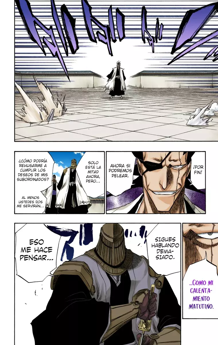 Bleach (Color) capítulo 139, página 11
