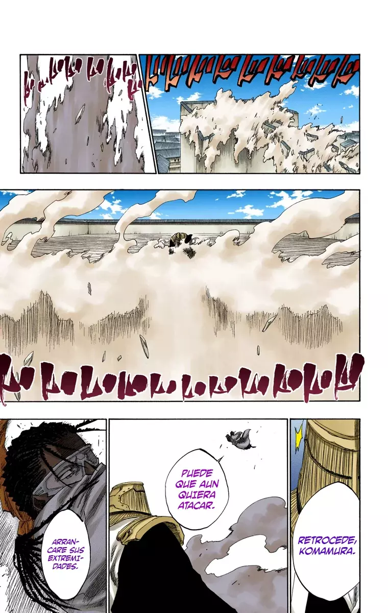 Bleach (Color) capítulo 139, página 14