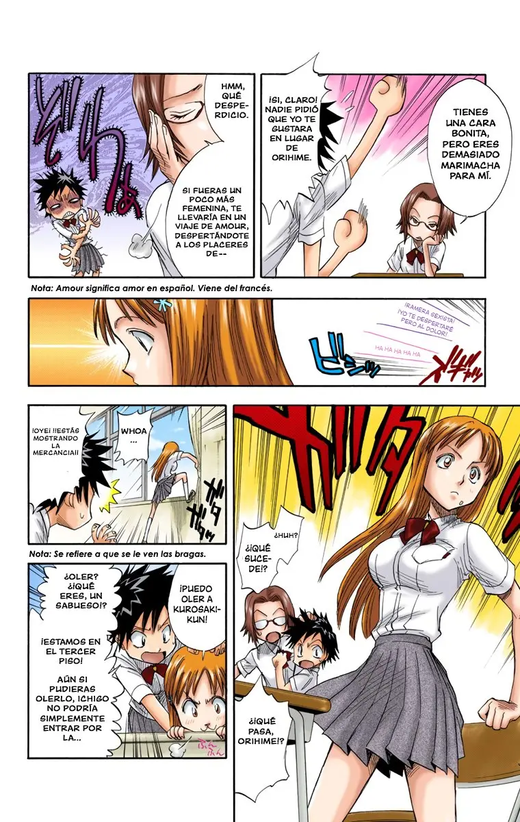 Bleach (Color) capítulo 14, página 10