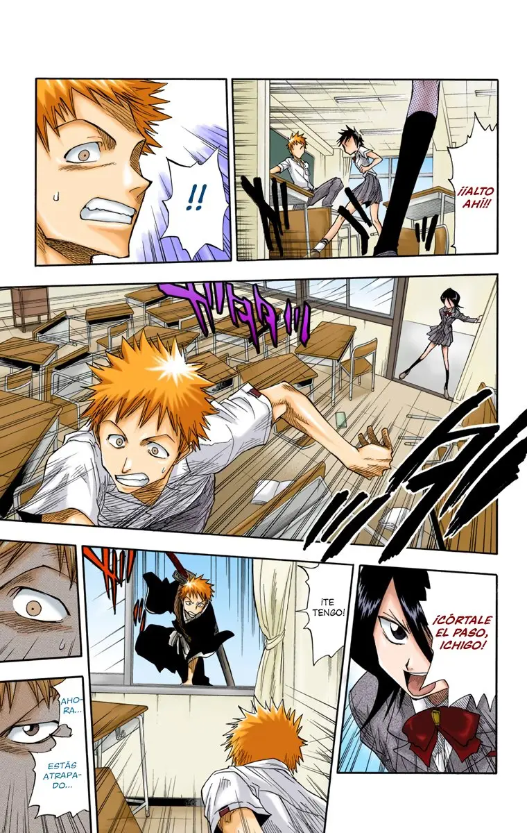 Bleach (Color) capítulo 14, página 17