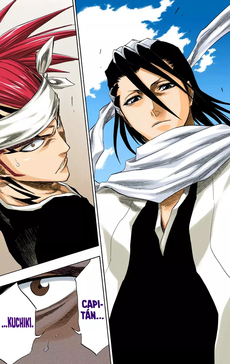 Bleach (Color) capítulo 140, página 15