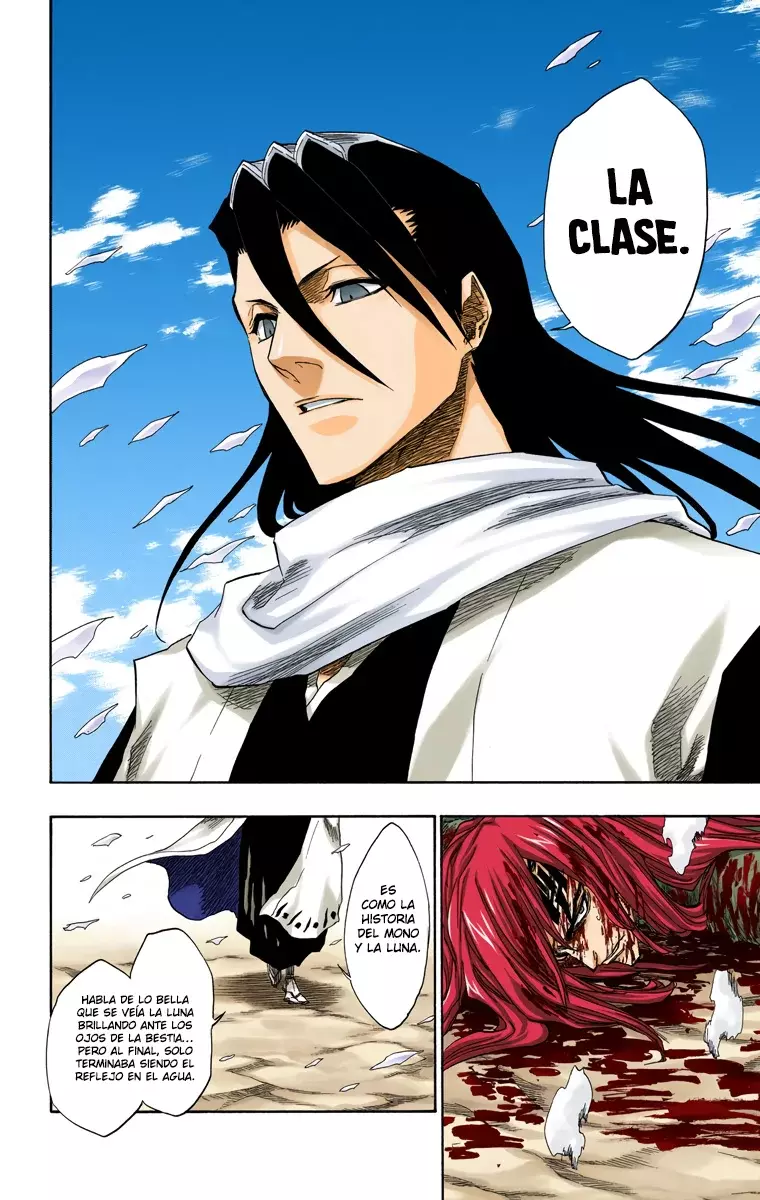Bleach (Color) capítulo 142, página 17
