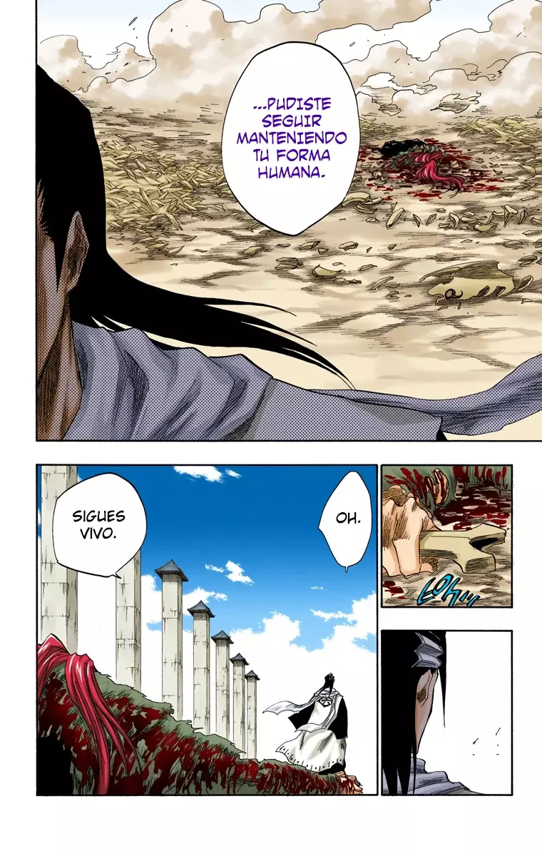 Bleach (Color) capítulo 143, página 8