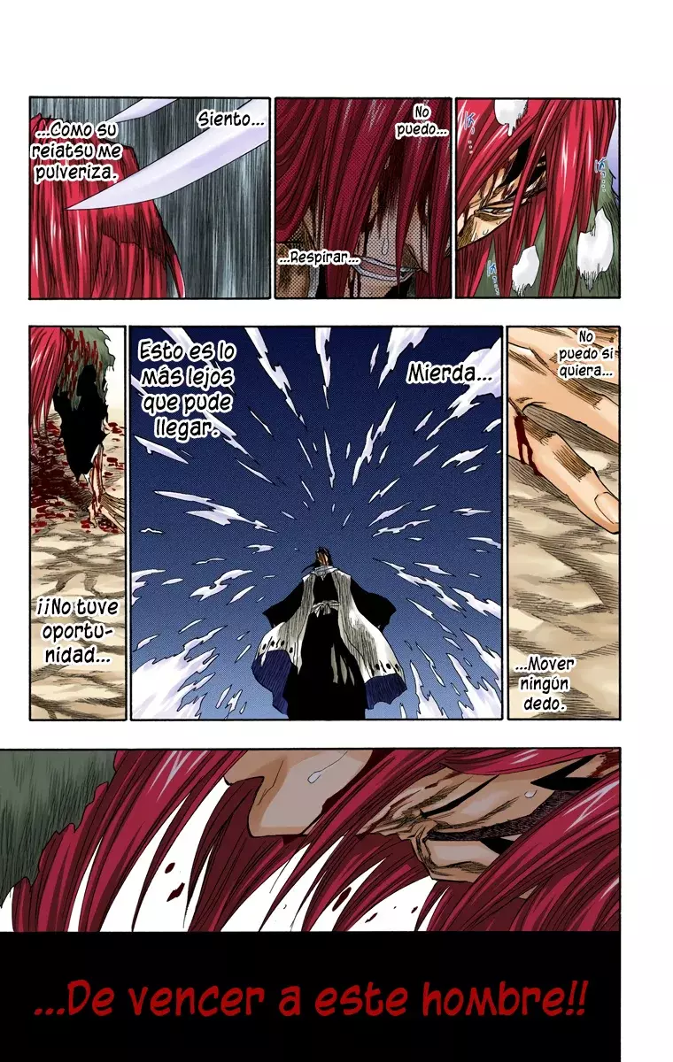 Bleach (Color) capítulo 143, página 15
