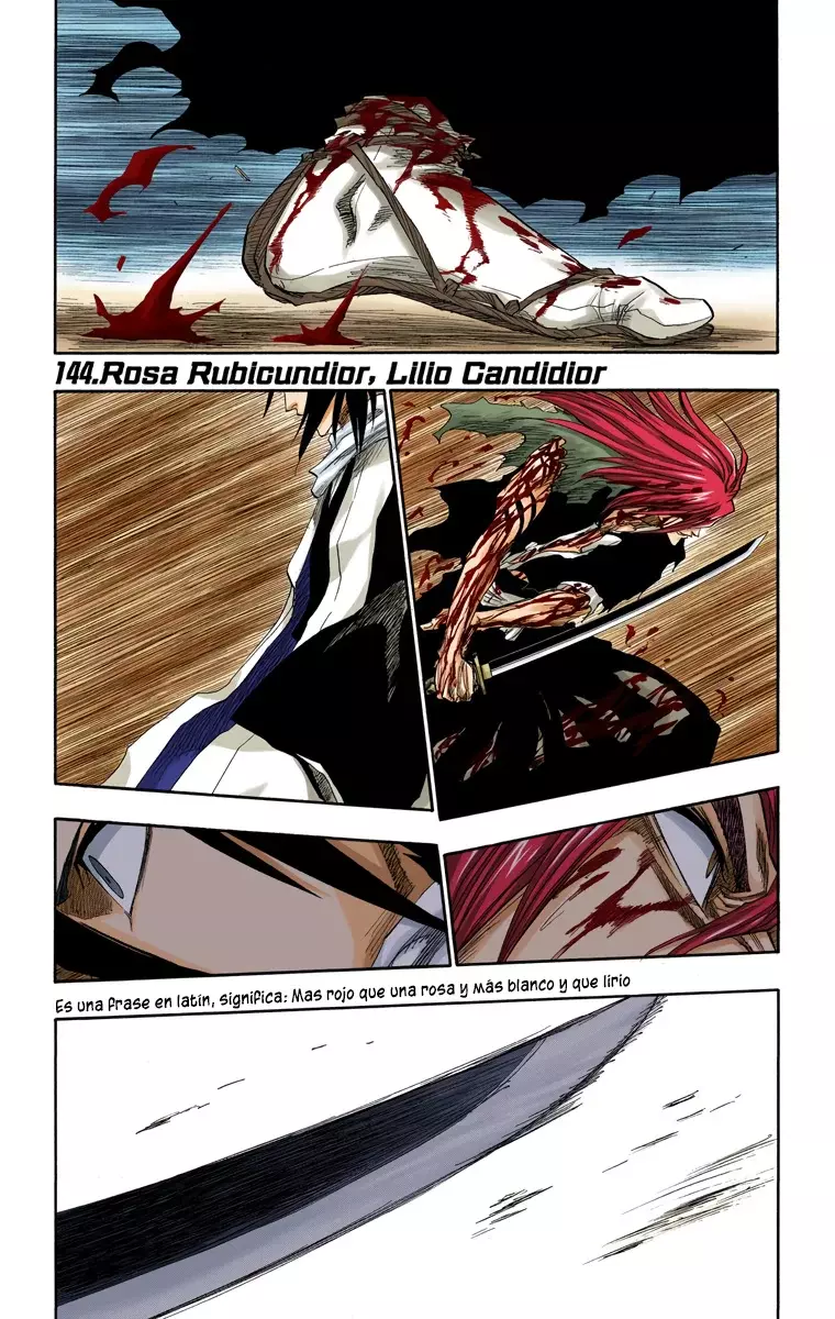Bleach (Color) capítulo 144, página 2