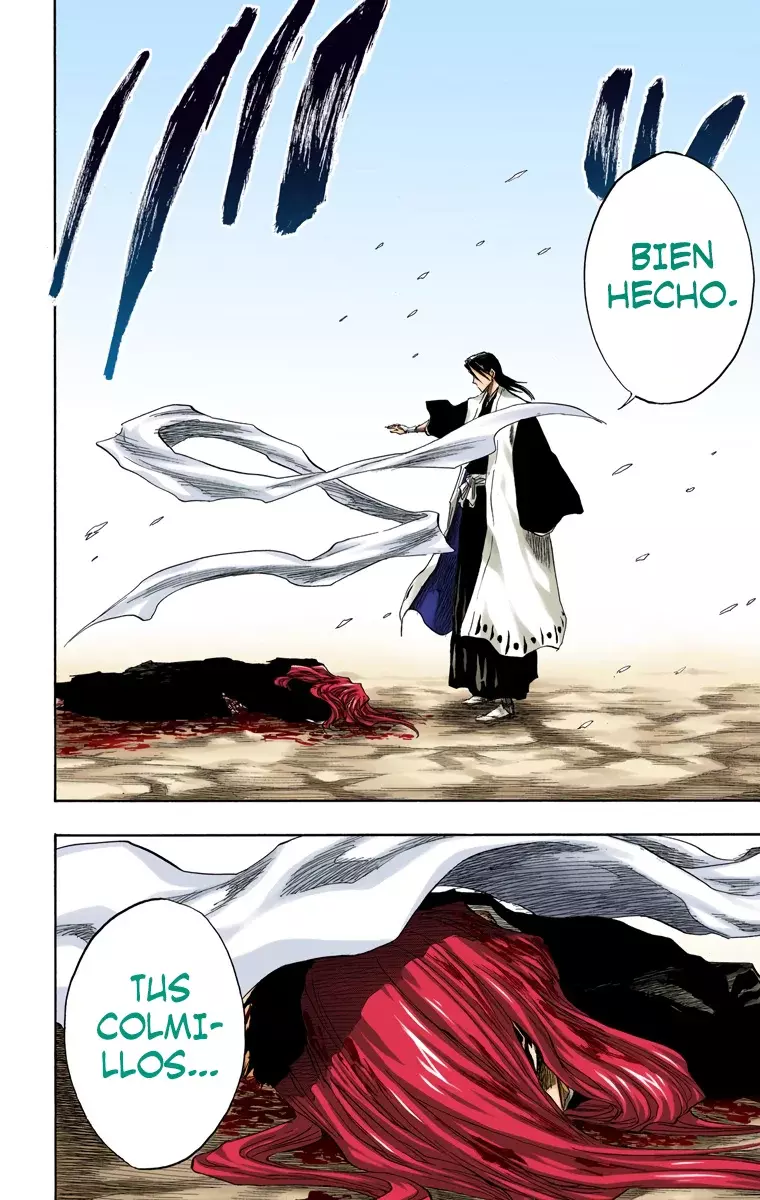 Bleach (Color) capítulo 144, página 13