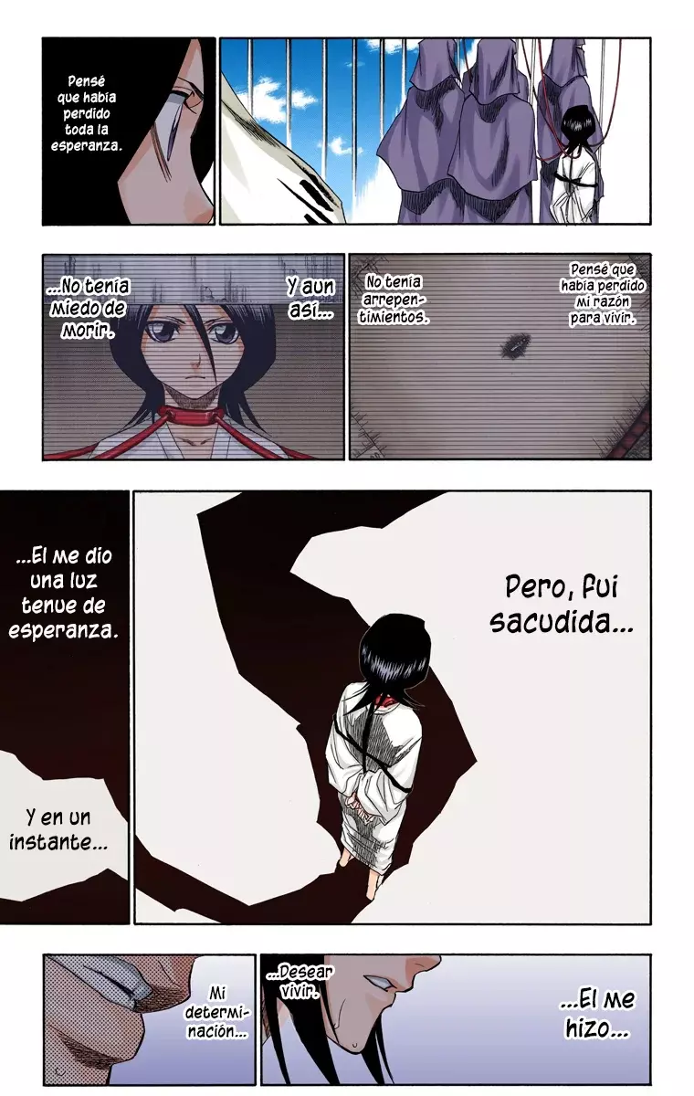 Bleach (Color) capítulo 145, página 14
