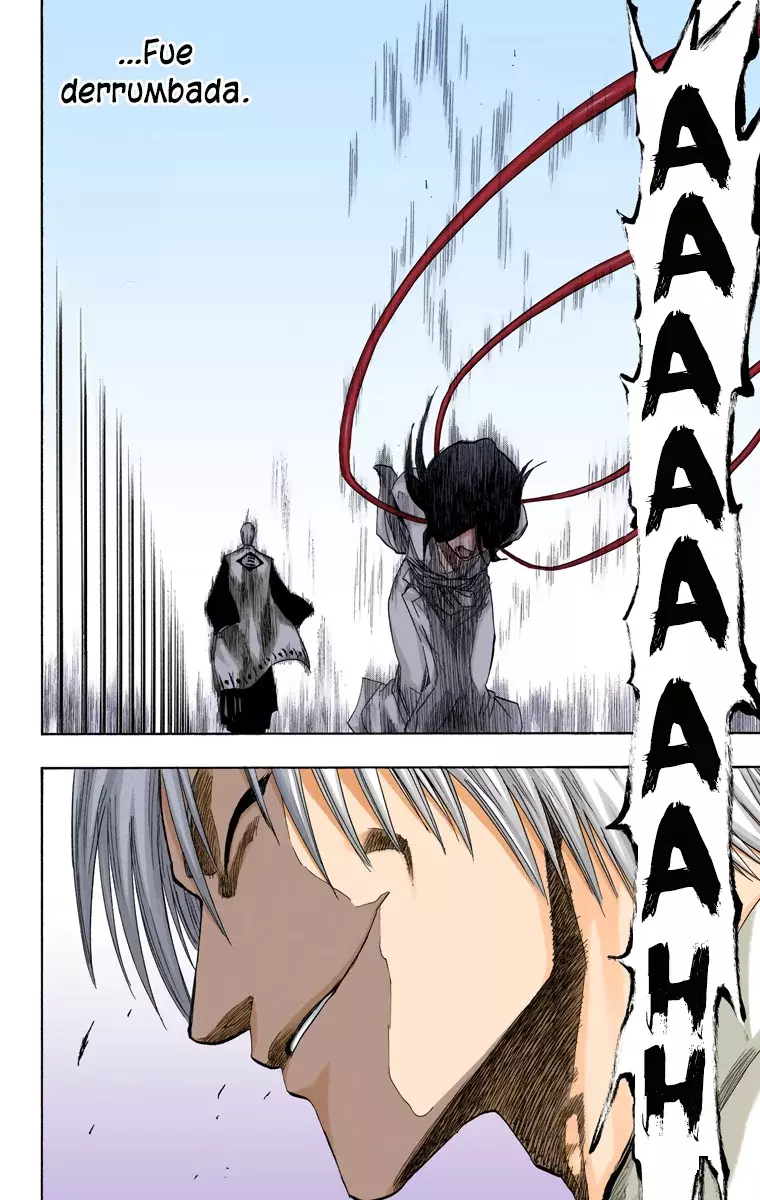 Bleach (Color) capítulo 145, página 15