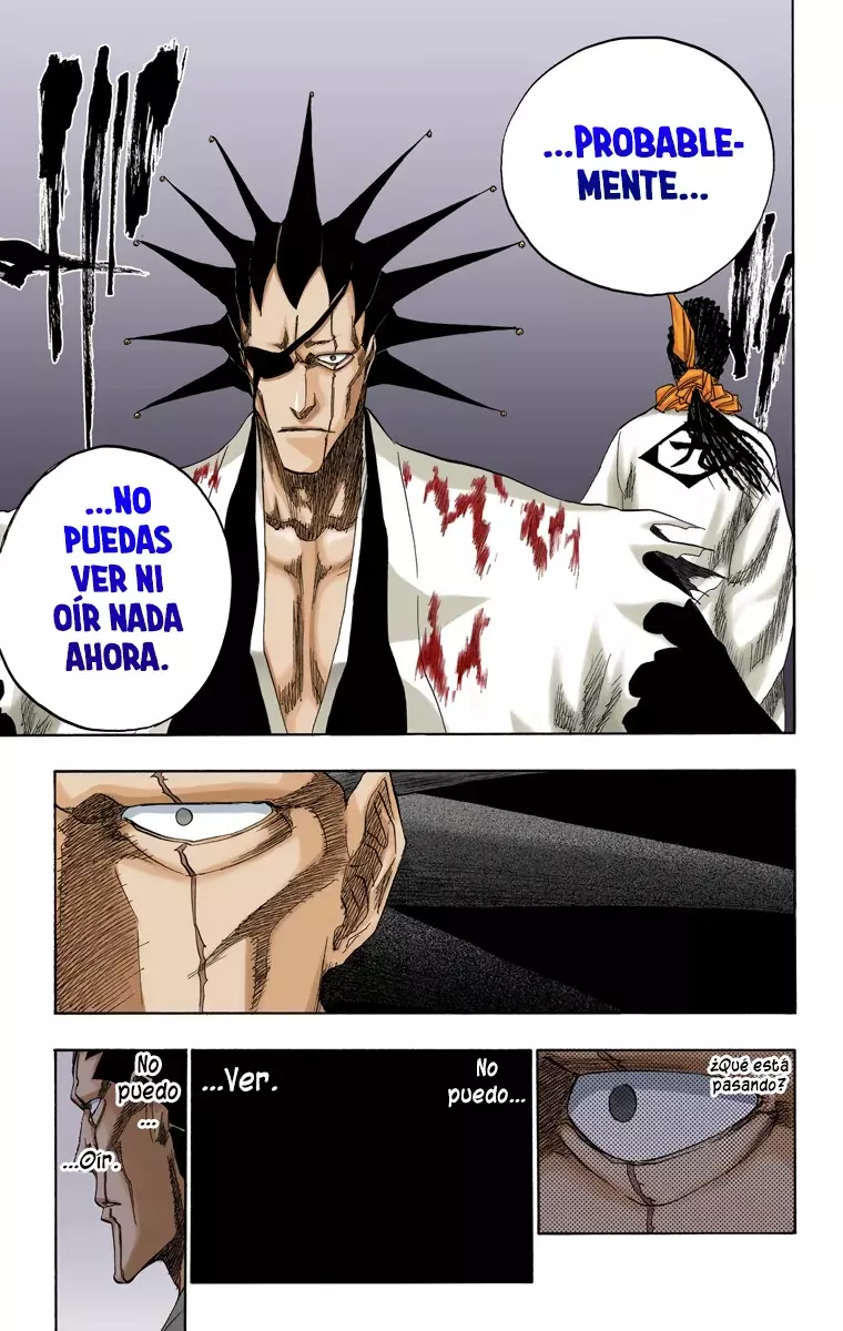 Bleach (Color) capítulo 146, página 13