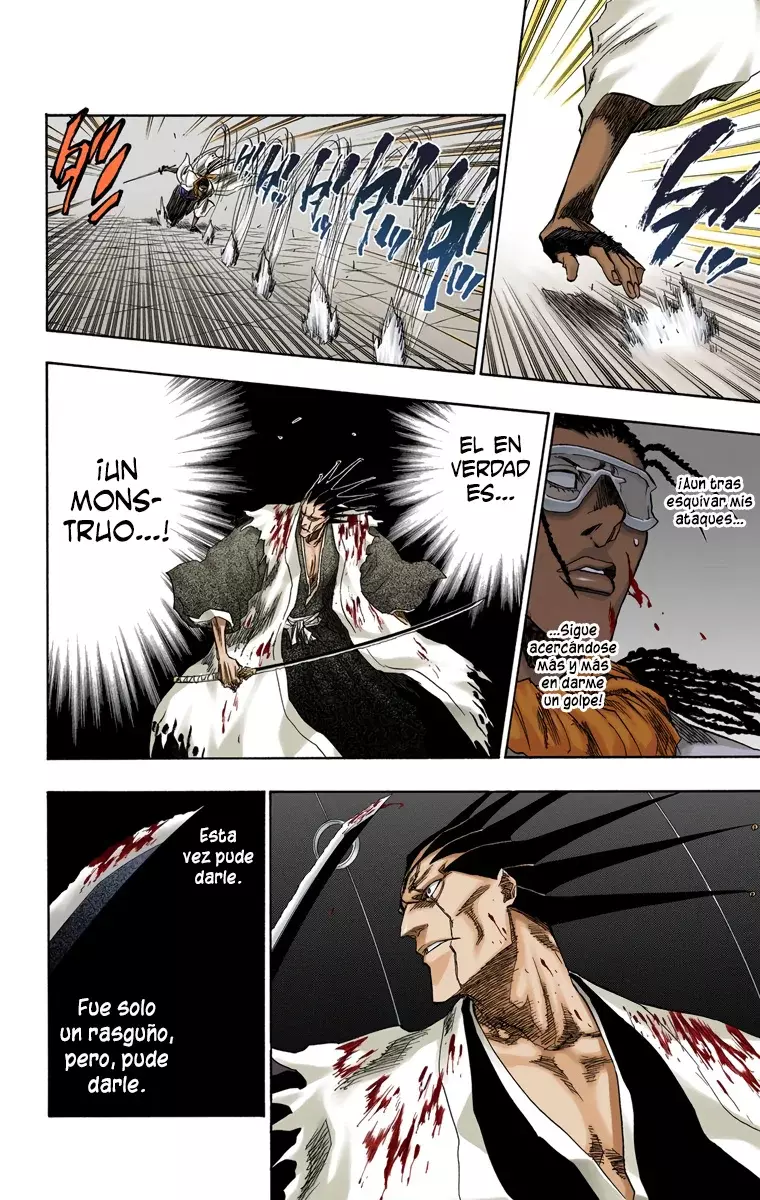 Bleach (Color) capítulo 147, página 13