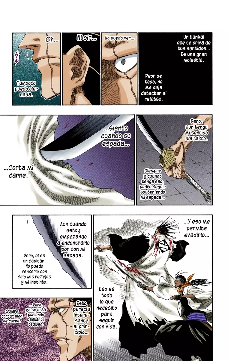 Bleach (Color) capítulo 147, página 14